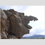 capo orso